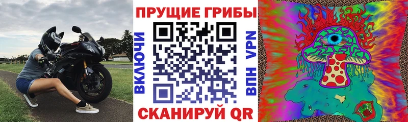 Купить закладки  Фрязино  Галлюциногенные грибы Psilocybine cubensis 